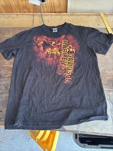 HARLEY DAVIDSON Imagewear T-shirt, size XL Grand Rapids Michigan - Picture 1 of 13