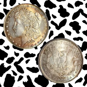 1885-O Morgan Silver Dollar $1 ICG MS64 - Nice Lustrous Toned Coin. Our T3843 - Picture 1 of 11