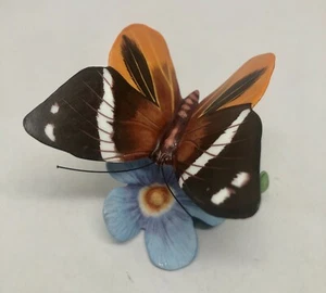Franklin Mint Butterflies of the World Porzellan Figur 1987 - Bild 1 von 6