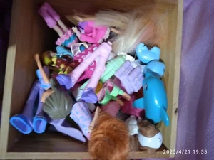 ki polly pocket comprende aereo ,macchina ,furgone con animali ,negozio con tutt - Foto 1 di 5