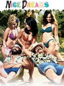 Nice Dreams (DVD, Cheech & Chong, 1981) FREE SAME-DAY SHIPPING! - Picture 1 of 1