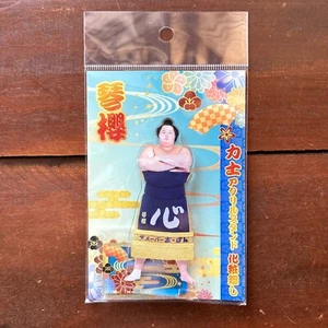 Sumo Wrestler Rikishi KOTOZAKURA Kesho-mawasi Acryl Ständer H3,9×B2in 2025 Neu - Bild 1 von 6