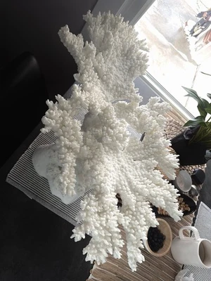 "Escultura grande de coral sintético blanco - 27"" x 15"" - decoración costera moderna" Foto 1 de 4