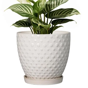 6 Inch Ceramic Plant Pot with Drainage Hole and Saucer Round Planter Decorati... - Picture 1 of 7