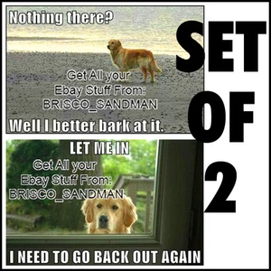 Kühlschrankspaß Kühlschrankmagnet HUNDHUMOR: NICHTS ANBELLEN & MICH RAUSLASSEN 2er Set - Bild 1 von 7