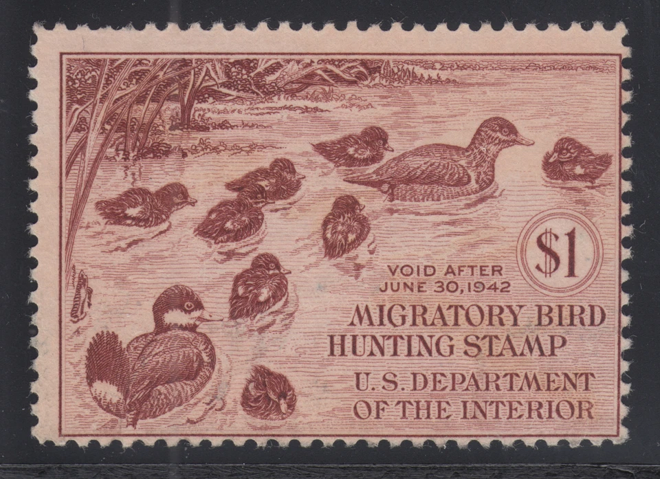 US Sc RW8 MNG. 1941 $1 Ruddy Ducks, Duck Stamp sound, usual centering - Image 1 of 1