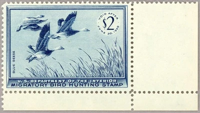 Estampilla de pato de Estados Unidos Scott #RW22 como nueva NH VF-XF 1955, gansos azules, sin defectos Foto 1 de 2