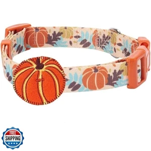 Collar de perro de acción de gracias Blueberry Pet - Collar ajustable para cachorro de calabaza de otoño  - Imagen 1 de 5