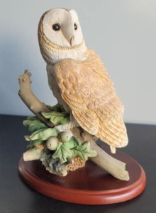 Border fine arts Barn Owl A1477 Birds by Russell Willis - Foto 1 di 6