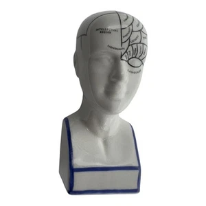 MEDIZINISCHE PHRENOLOGIE KOPF BÜSTE Vintage Figur 6" groß STATUE wissenschaftliche Psychologie - Bild 1 von 24