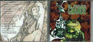 CD IL PIANO GRANDE TETSUO RECORDS 1996 RAVENNA ANARCHIA ELIO QUARNETI PUNK - Picture 1 of 1