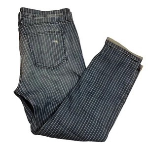 Current Elliott The Fling Indigo Pinstripe Destroy Boyfriend Jeans Size 28 - Picture 1 of 6