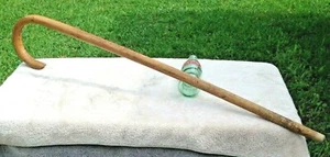 Werbestock Gehstock Hollmer & Miller Kommunikation South Carolina   - Bild 1 von 9