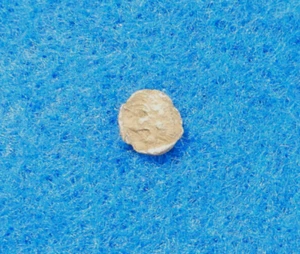 Moneda de Plata Hemiobol griego antiguo Kyzikos, Mysia, circa. 450-400 aC - Imagen 1 de 3