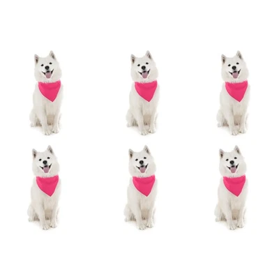 Paquete de 6 pañuelos lisos de algodón para perros cómodos y fáciles de usar Foto 1 de 4