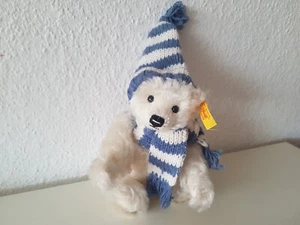 Steiff Teddy Winterbär mit Knopf und Fahne 028205 - Bild 1 von 5