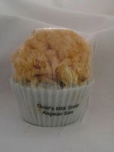 Mini sapone "Cupcake" al latte di capra con spugna di mare naturale incorporata (Mar Egeo) - Foto 1 di 4