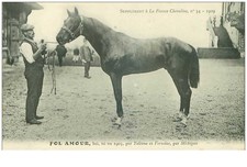 hippism.n°35611.fol amour.bai.1909.HORSES.SUPPLEMENT TO FRANCE CHEVALINE.d