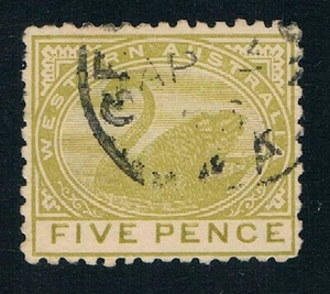 WESTERN AUSTRALIA • 5d pale olive-bistre Swan • SG 143 - Bild 1 von 2