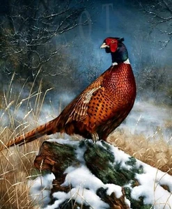 BEAUTIFUL ANTIQUE HUNTING REPRODUCTION 8X10 PHOTOGRAPH PRINT RINGNECK PHEASANT - Picture 1 of 1