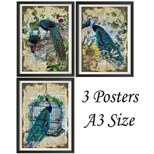 Pavos reales carteles arte mural tamaño A3, decoración de pared Impresiones artísticas Conjunto de 3 carteles - Imagen 1 de 5