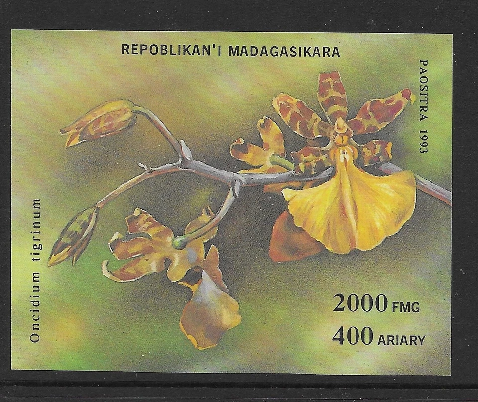 Madagascar 1993 Orchids M/S U/M (FL98) - Image 1 of 1