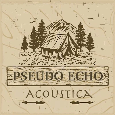 PSEUDO ECHO OFFICIAL “ACOUSTICA” ALBUM ON CD - Image 1 of 3