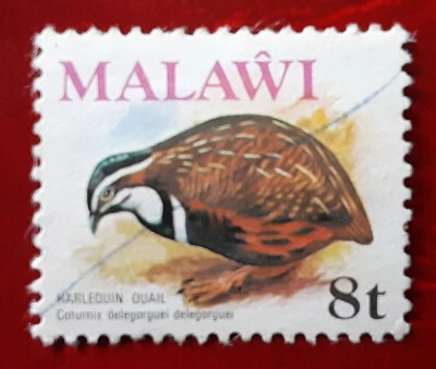 MALAWI 1975 8t Used Harlequin Quail Mi 233 Scott 237 Superb 6558 - Image 1 of 2