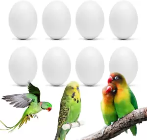 8Pcs Fake Bird Eggs, Stop Egg Laying Fit Bourkes Parrot, Lovebird, Lineolated - Picture 1 of 12
