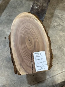 Black Walnut Cookie Slab #2339, live edge slab, unfinished, free shipping - Picture 1 of 4
