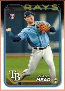 Tampa Bay Rays 2024 Topps Series 1 Base Team Set 11 Cards - Picture 1 of 1