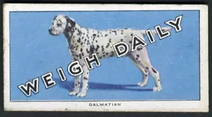 DALMATINER 1953 BRITISCHE AUTOMATISCHE KOMÖDIE GEWICHTSMASCHINE KARTE #10 - Bild 1 von 2