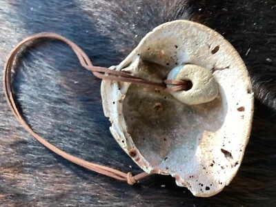 Fossilized, NC Large Southern Clam Shell 4.5x3.78 in. w/beach stone necklace  - Image 1 of 4