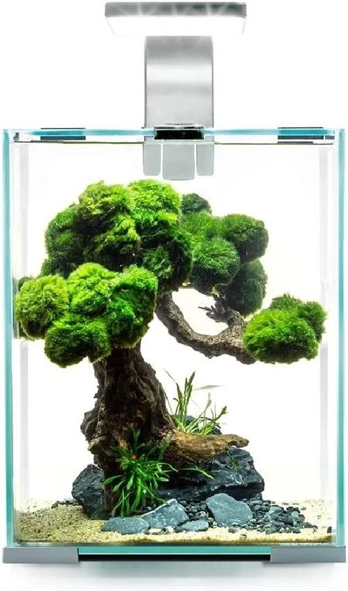 Nano acquario Aquael Shrimp Set Smart Day&Night 10 Lt 20x20x26 accessoriato - Immagine 1 di 1