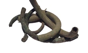 Roman Bronze fragment Group Lot - Picture 1 of 4