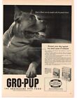 1954 GRO-PUP Dog Food Boxer Vintage Print Ad 