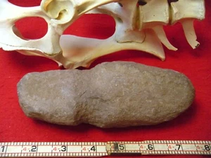 ANASAZI MAUL/HAMMERSTONE– PHOENIX ARIZONA COLLECTION – ANASAZI MAUL/HAMMERSTONE - Picture 1 of 14