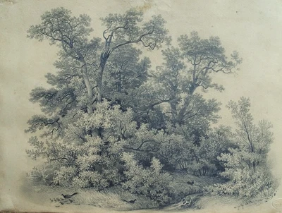 Alexis Victor JOLY (1798-1874) Paysage aux arbres -   Dessin original ancien - Photo 1/2