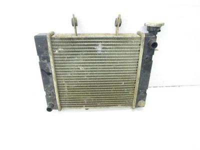 Radiador Bombardier Rally 175 200 2005-2007 A19000179000 Foto 1 de 4