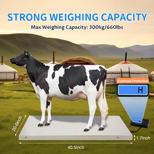 Báscula veterinaria digital portátil para ganado cerdo mascota perro oveja cabra 660 lb - Imagen 1 de 13