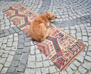 Terrific Antique Kilim 26'' x 96'' Anatolian Collector's Piece Fragment Kilim - Picture 1 of 12