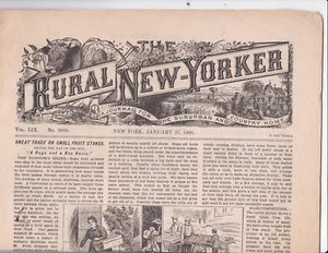 RURAL NEW YORKER Journal For Suburban  And Country Home. Jan. 27, 1900 NEWSPAPER - Picture 1 of 3