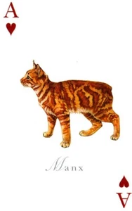 Manx, Gatos del Mundo Juego/Carta Comercial Fiesta de Fantasía - Imagen 1 de 2