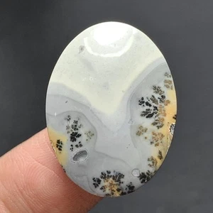 Maligano Jaspis Cabochon 25x19x5 mm hochwertig 22,5 ct - Bild 1 von 6