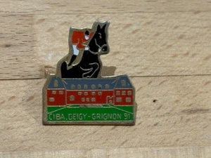 b PINS PIN CHEVAL HORSE GEIGY GRIGNON - Imagen 1 de 1