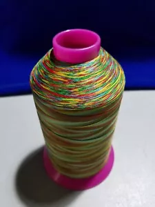 Gutermann Tera Calora30 Variegated/Multicolor Topstitching Thread/Tex100/3280yds - Picture 1 of 9