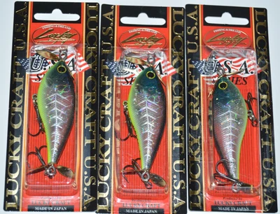 3 señuelos Lucky Craft Kelly J flotante doble utilería cebo 2,75" hueso de pescado pro azul Foto 1 de 3