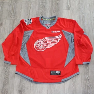 Henrik Zetterberg 2016-17 Detroit Red Wings Centennial Classic Practice Jersey - Picture 1 of 8