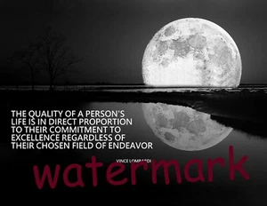 OFFICE HOME SUCCESS MOTIVATION VINCE LOMBARDI QUOTE QUALITY OF A PERSON PHOTO  - Picture 1 of 1