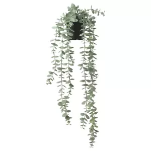 IKEA FEJKA künstliche Eukalyptus Pflanze 9cm Topf Faux hängend Indoor Outdoor Deko - Bild 1 von 6